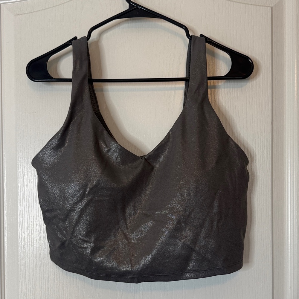Aerie Real Me V Neck Silver / Gray Metallic Sports Bra / Crop Top XL